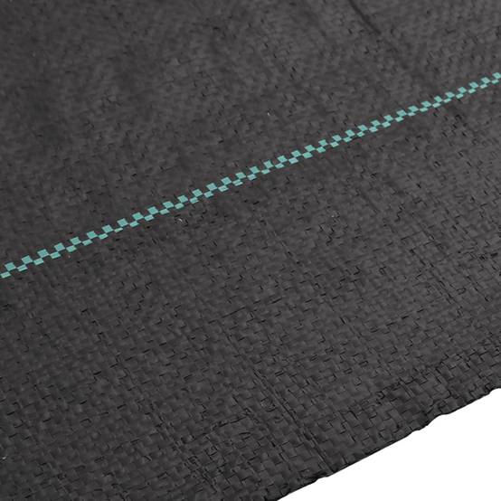 Vidaxl - Membrane anti-mauvaises herbes noir 2x200 m PP vidaXL 4005163 - Image 6