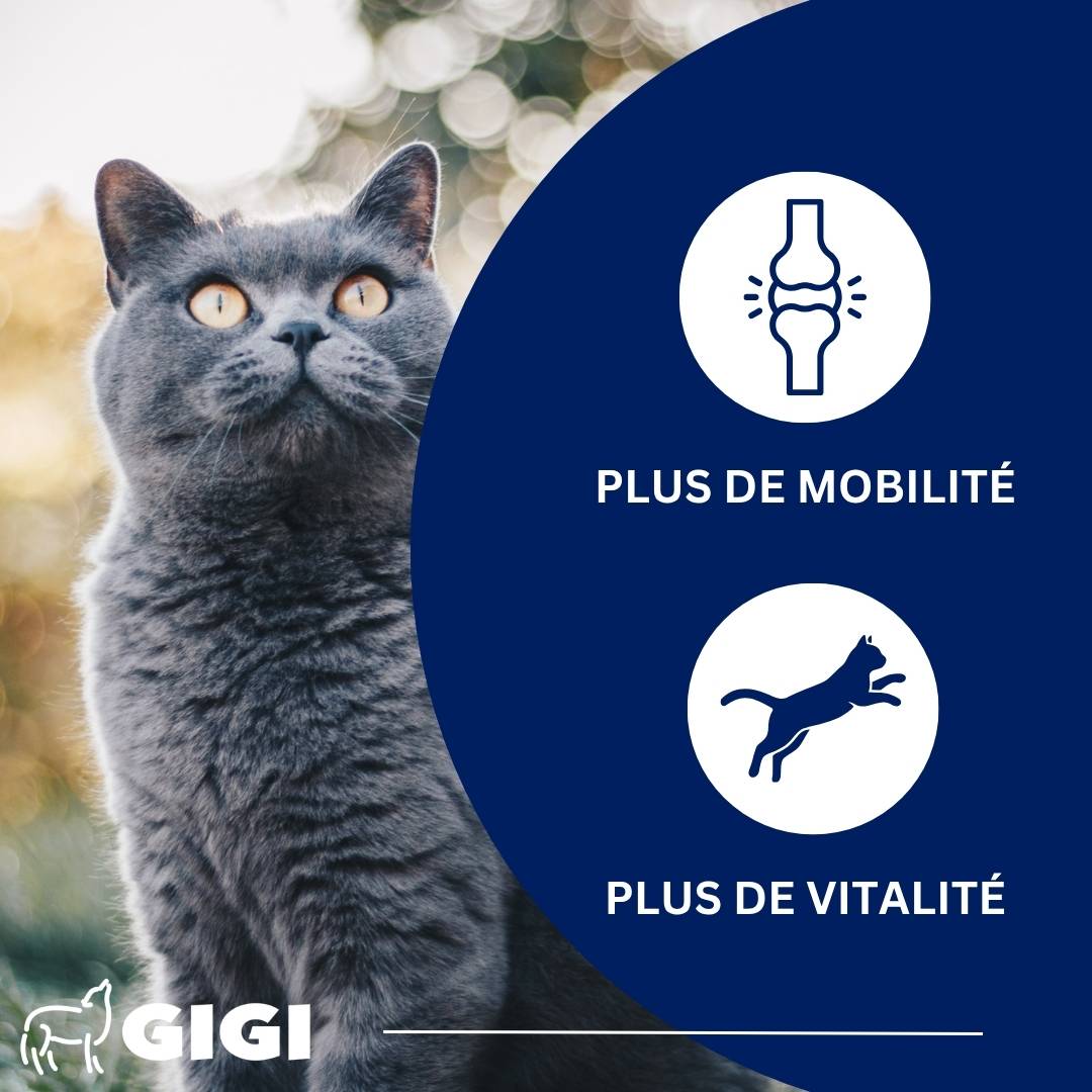 Soutien Articulaire Chats PRO+ 90 comprimés GIGI VET - Image 2