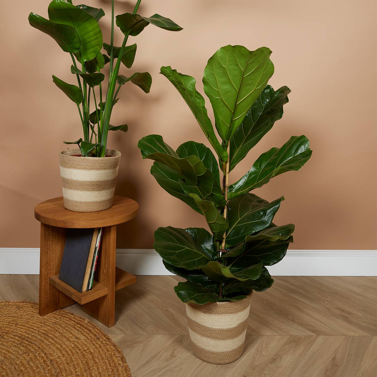 P. à Plantes Tressé Gaby - Lot de 2 Pots - Beige - Jute - Panier pour Plantes - Image 2