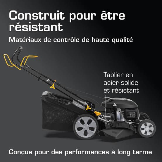 Alpina - Tondeuse AL5 51 SHQ, 166cc, largeur 51cm, bac 60L, 4 en 1 - ALPINA - Image 3