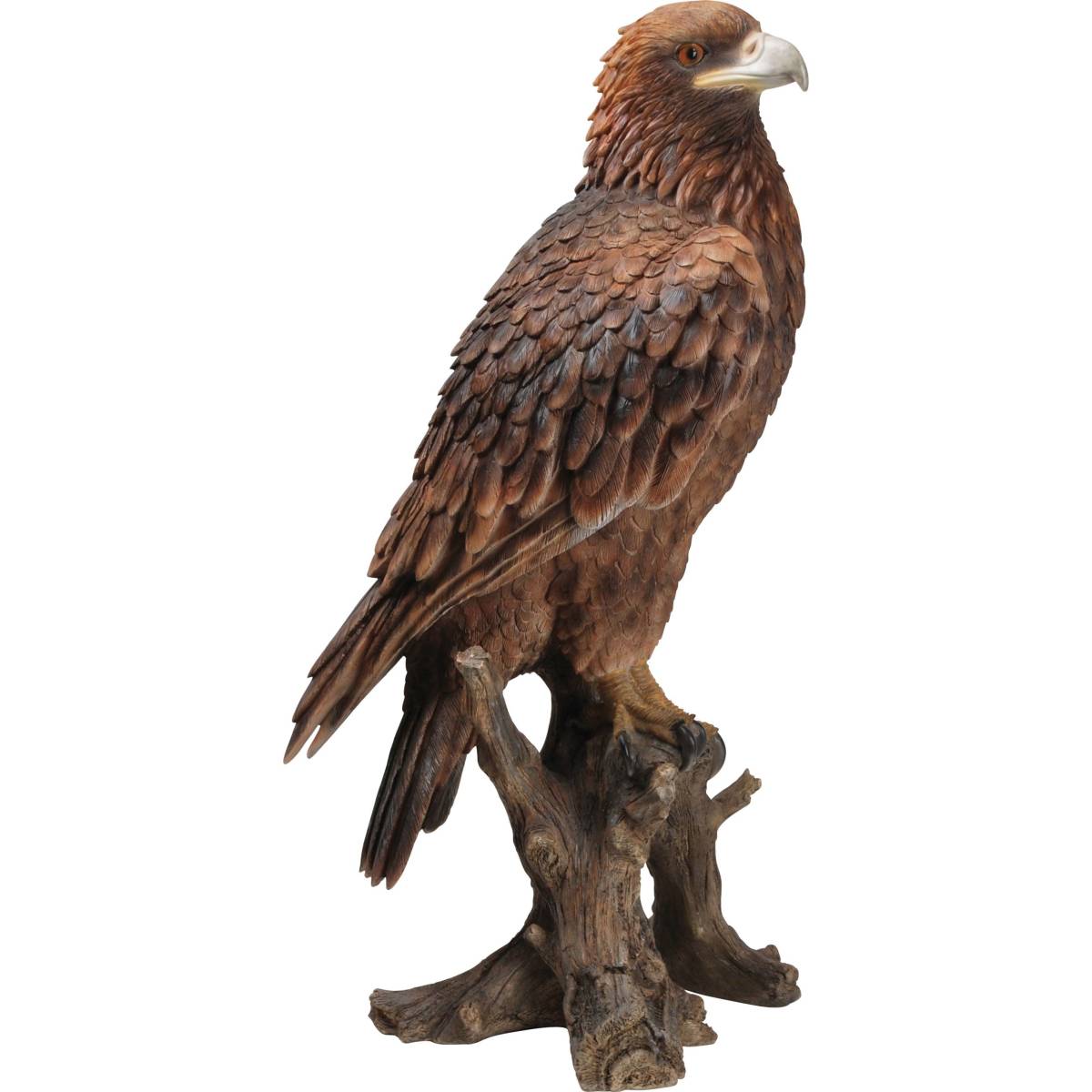 Vivid Arts - Aigle royal sur branche en résine 39.5 cm - Image 1