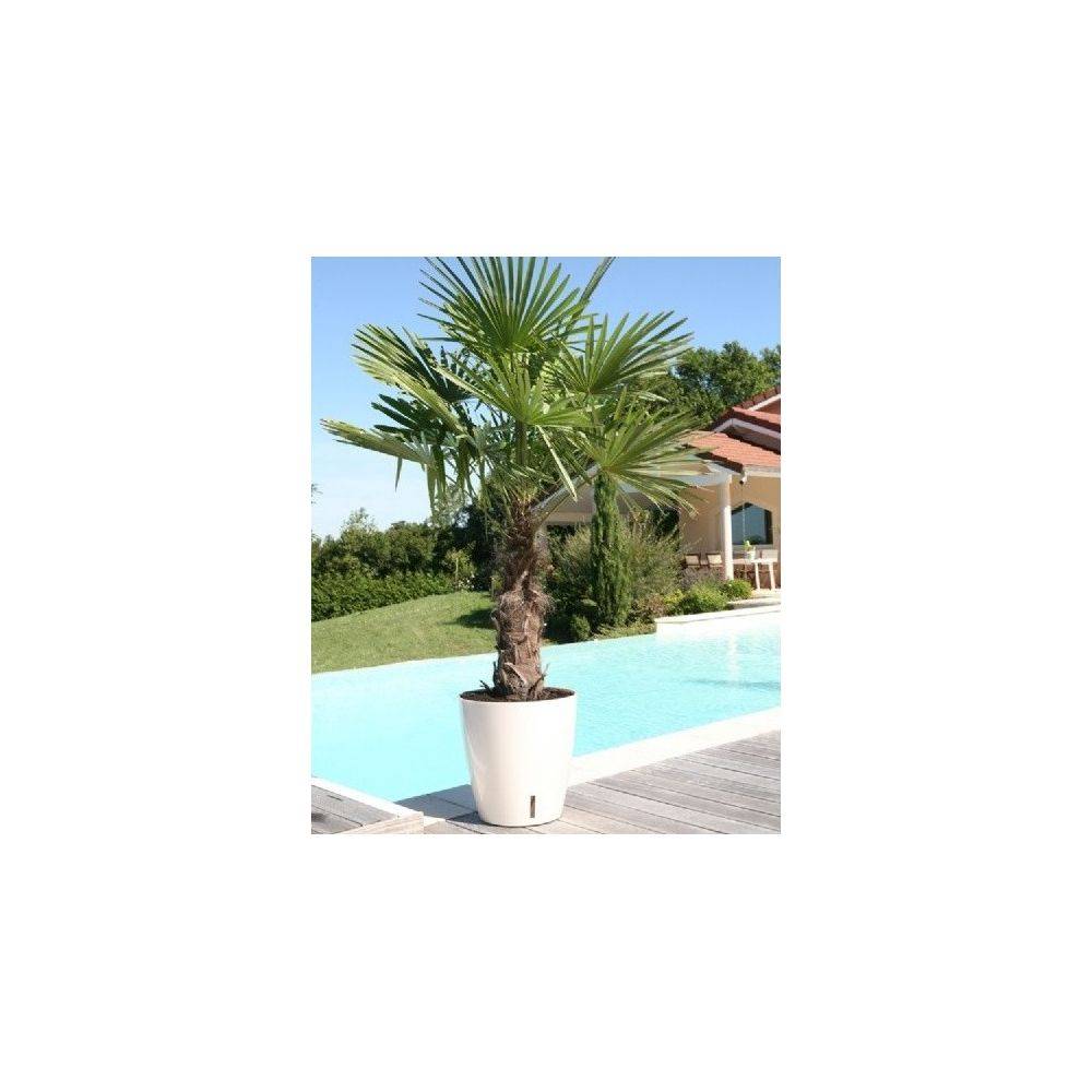 Riviera - Pot en plastique rond avec réserve d'eau 25.5 cm Eva Blanc - Image 3