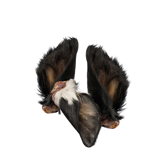 Oreilles de bœuf avec poils pour chiens – Friandises naturelles, effet vermifuge, riches en fibres - Image 3