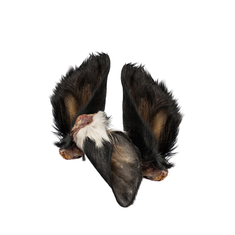 Oreilles de bœuf avec poils pour chiens – Friandises naturelles, effet vermifuge, riches en fibres - Image 3