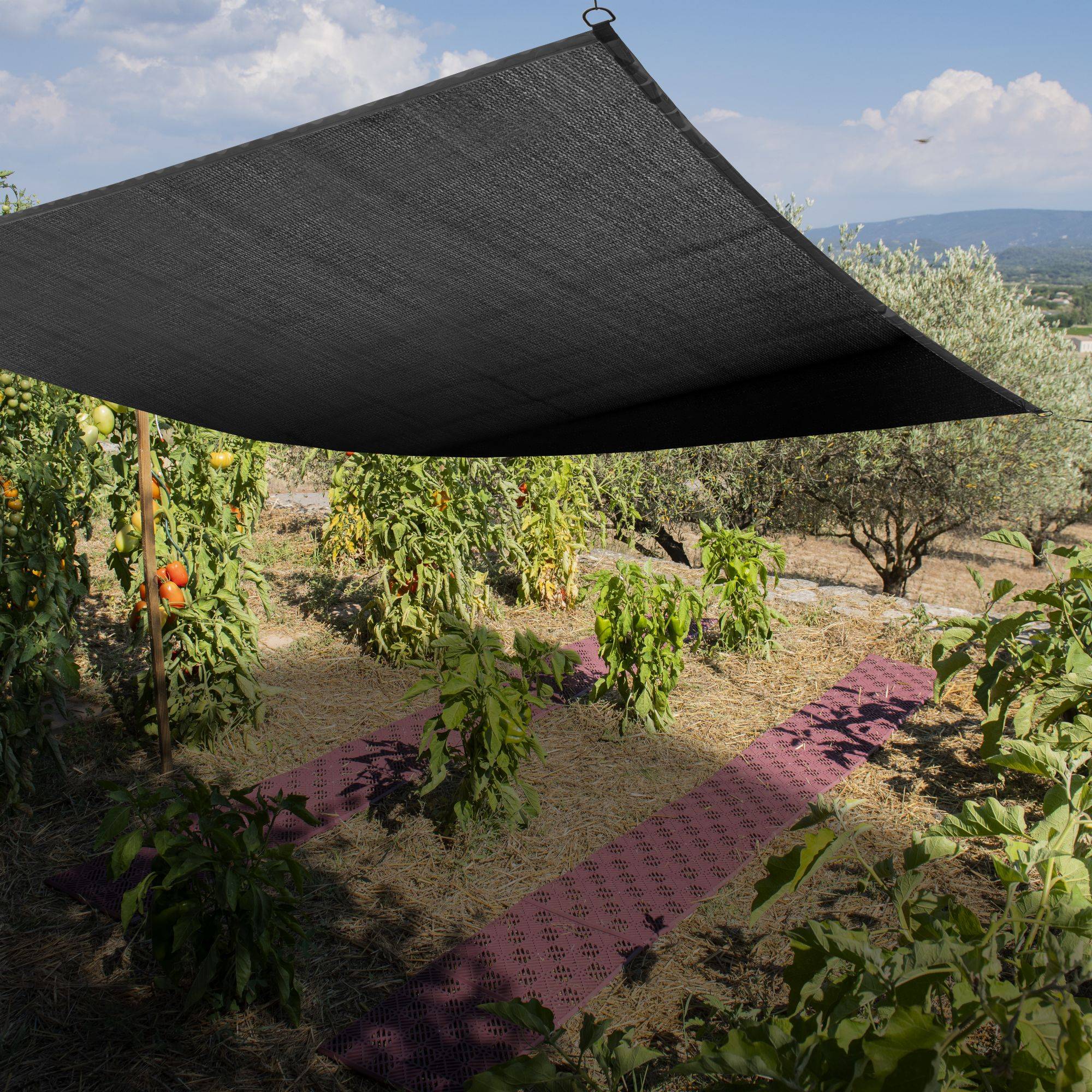 Toile d'ombrage potager et serre - 4 x 5 m - Image 1