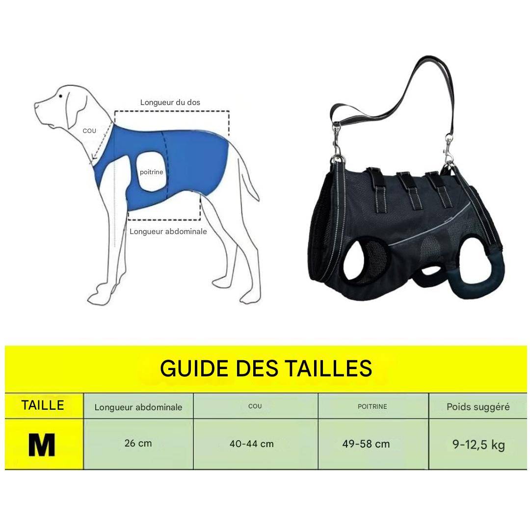 DtopbuyAge - Harnais de levage pour chiens handicapés DtopbuyAge - Image 2