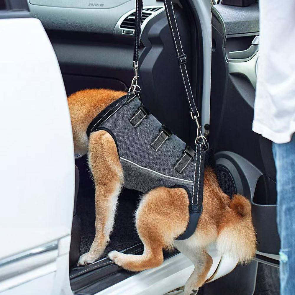 DtopbuyAge - Harnais de levage pour chiens handicapés DtopbuyAge - Image 4