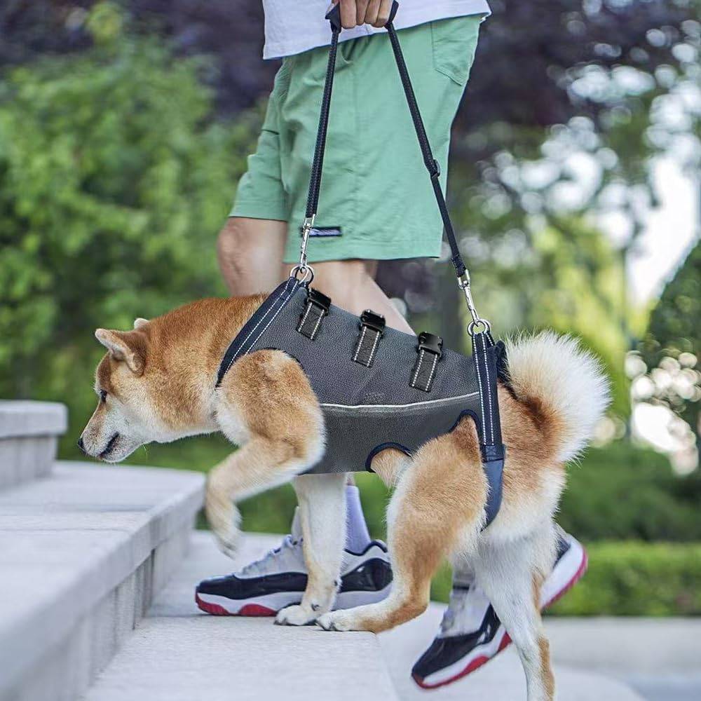 DtopbuyAge - Harnais de levage pour chiens handicapés DtopbuyAge - Image 5