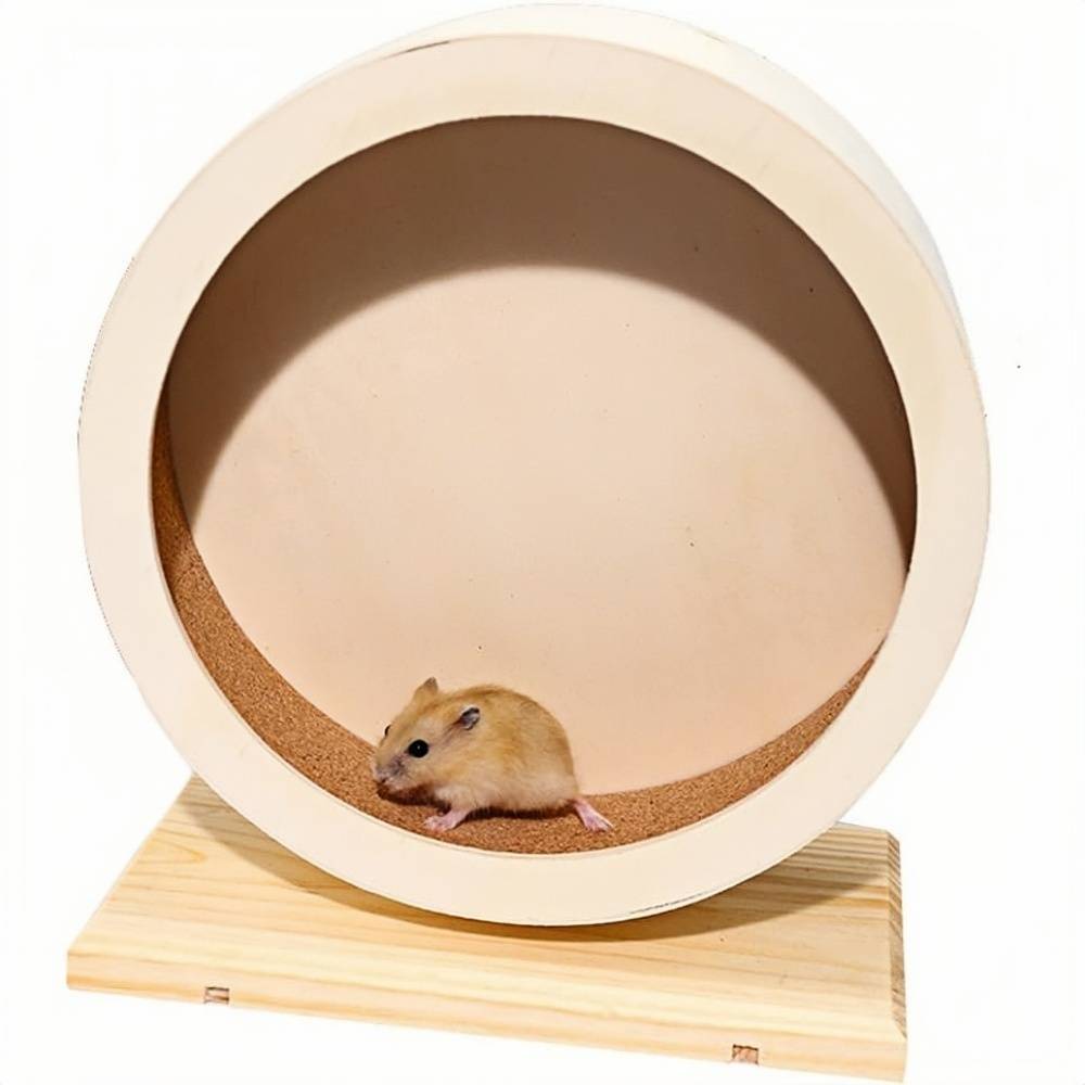 DtopbuyAge - Roue d'exercice pour hamster, gerbille, chinchilla et autres petits animaux DtopbuyAge - Image 1