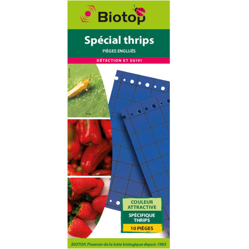 Biotop - Biotop - Piège collant bleu contre thrips