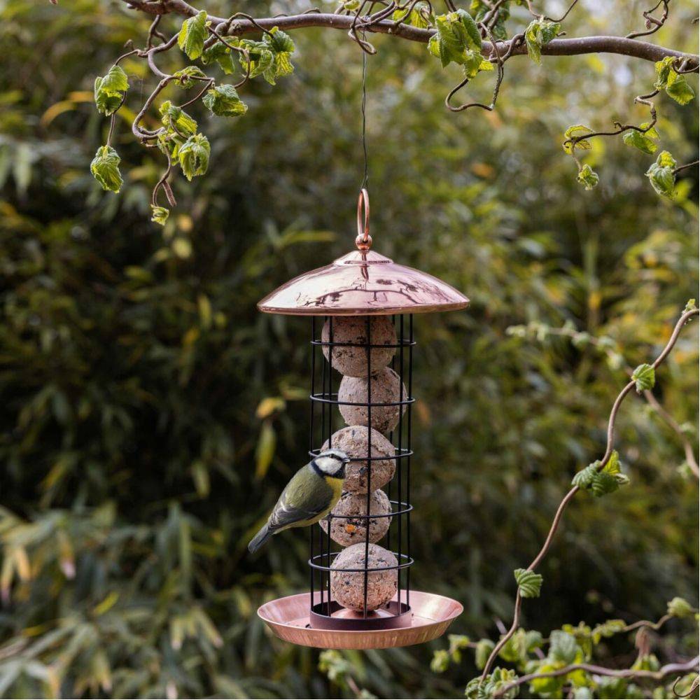 Esschert Design - Mangeoire à oiseaux Plaqué cuivre - boules de graisses - Image 2