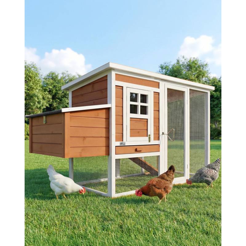 Poulailler en bois pour jardin extérieure 183x103x75cm Cage Canard avec Nichoir Modèle Ida - Image 1