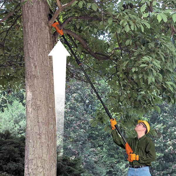 Elagueur sur perche sans fil - 18 V - 2 Ah - Manche télescopique 1,74m à 2,92m - Branche Ø 18cm - Guide de 20cm - Image 3
