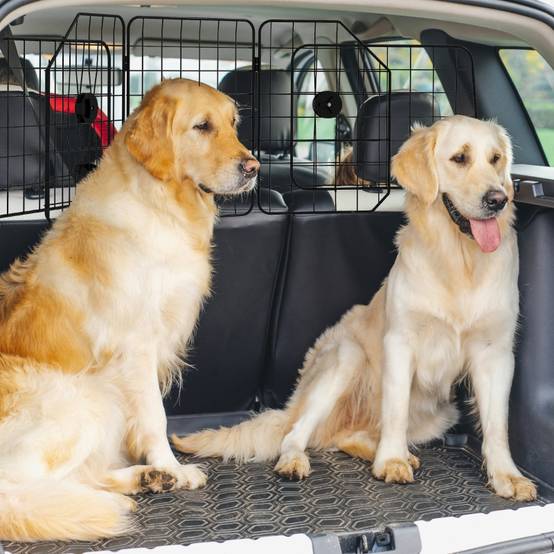 Grille de séparation chien voiture extensible 93-150 x 5 x 42 cm acier noir - PANGIVO - Image 2