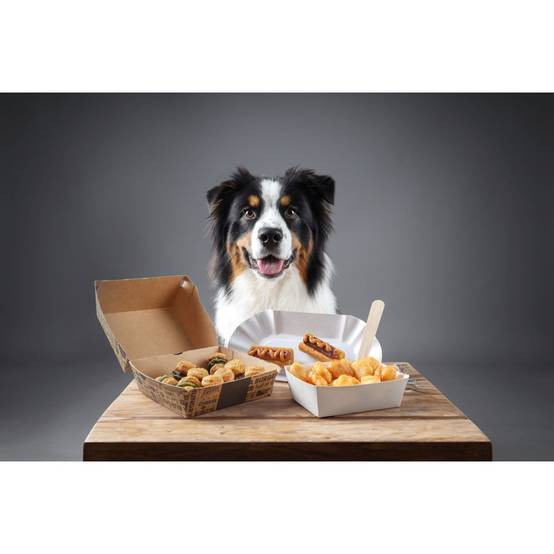 Flamingo - Flamingo - Friandises Fast Food Boîte à emporter 260 g pour chien - Image 4