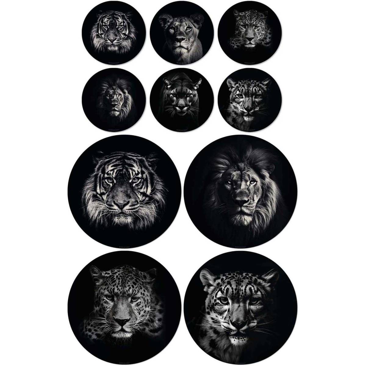 Lot de 4 sets de table et de 6 dessous de verre motifs assortis - Image 1