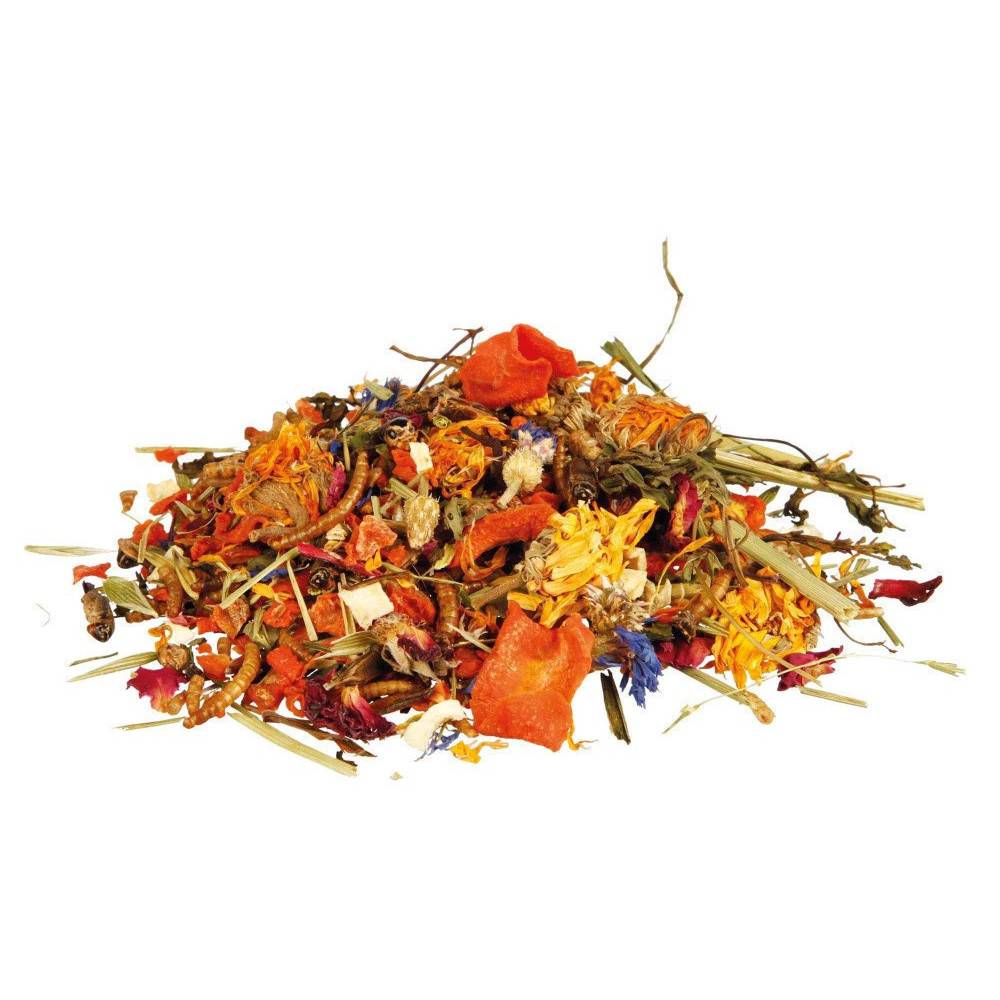 Trixie - Mélange d'aliments naturels pour dragons barbus 100g - Image 2