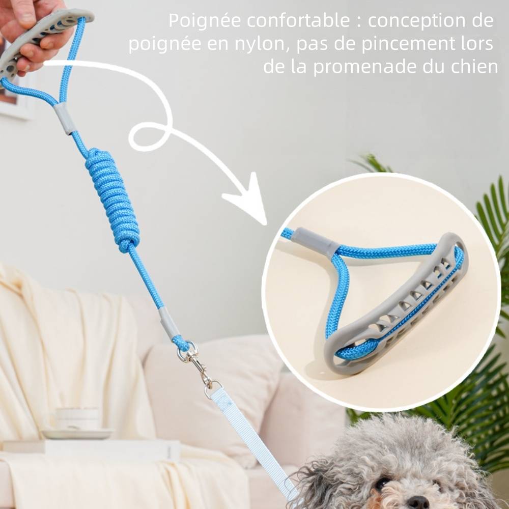 Ensemble harnais et laisse pour chat xl - IntiMeg - Image 3