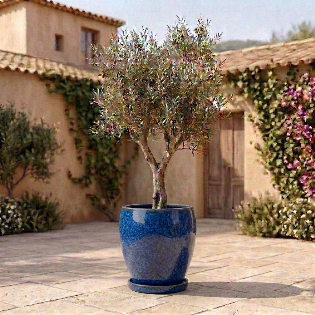 Provencelia - Soucoupe ronde 21cm bleu majorelle - Image 5
