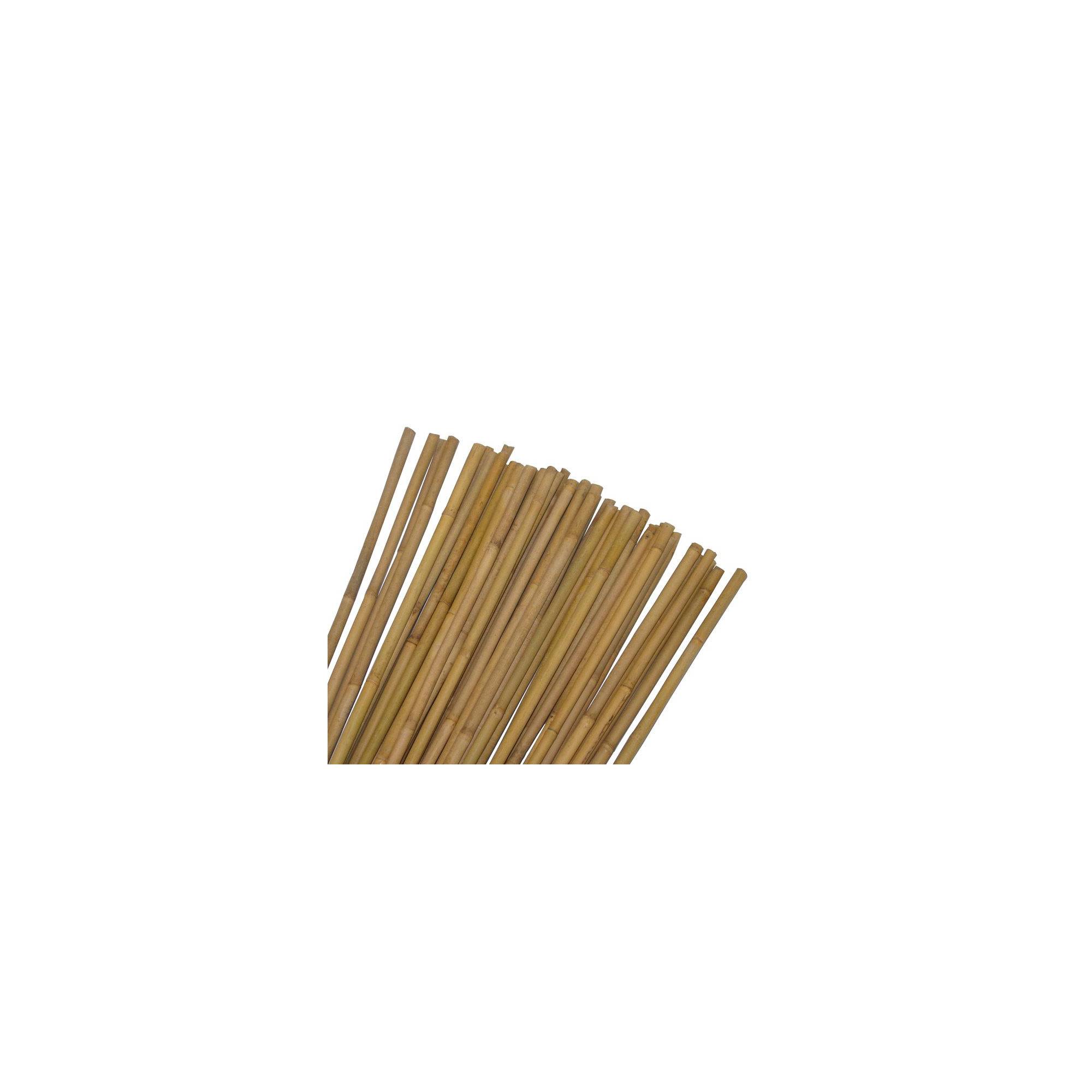 Sans Marque - Tuteur pour plantes et légumes - En bambou - Hauteur : 60 cm - Image 1