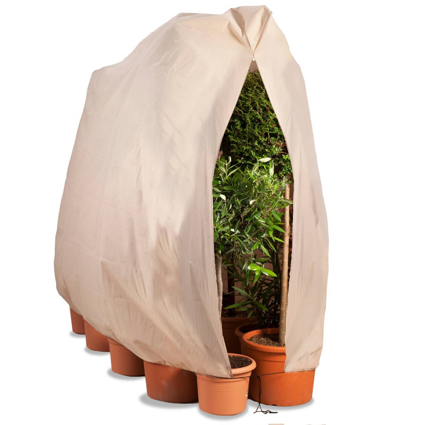 Housse d'hivernage pour plante et arbuste 120 x 180 cm - Image 2