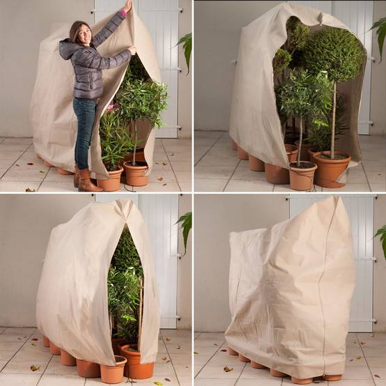 Housse d'hivernage pour plante et arbuste 120 x 180 cm - Image 5