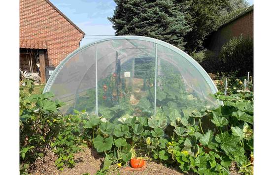 Serre tunnel de jardin - 22m² - 3,7 x 6 m - pieds arrondis - polyéthylène haute densité - aérations latérales - LES SERRES TONNEAU - Image 9