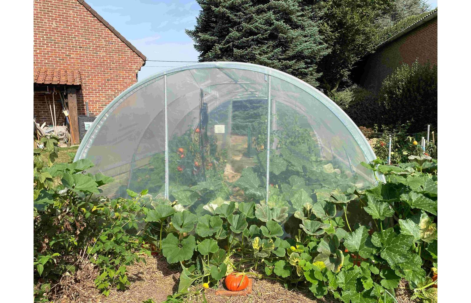 Serre tunnel de jardin - 22m² -  3,7 x 6 m - pieds arrondis - polyéthylène haute densité - aérations latérales - LES SERRES TONNEAU - Image 9