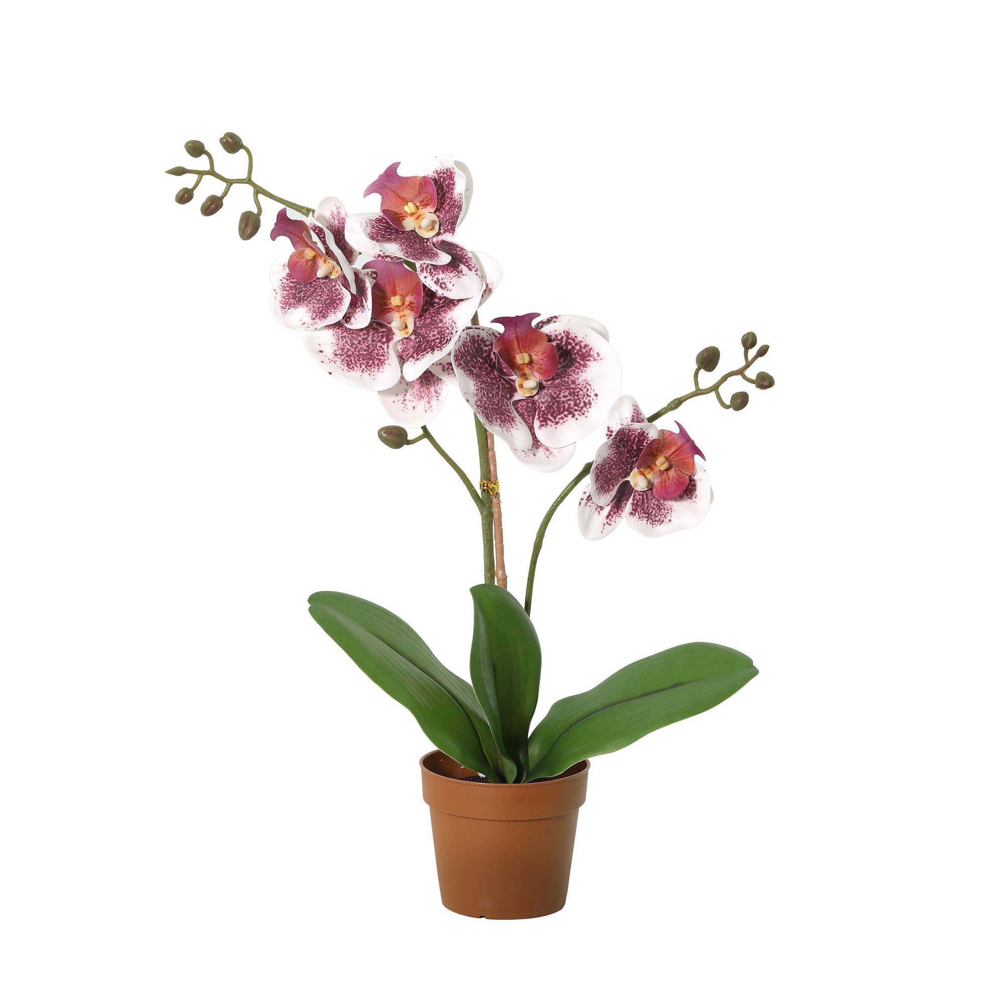 Phalaenopsis orchidée violet blanc - 43cm - Ø9cm - Plante artificielle - Image 1