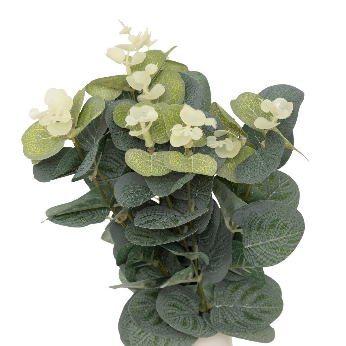 Atmosphera - Composition eucalyptus avec vase "Suza" H37cm - Atmosphera Créateur d'intérieur - Image 2