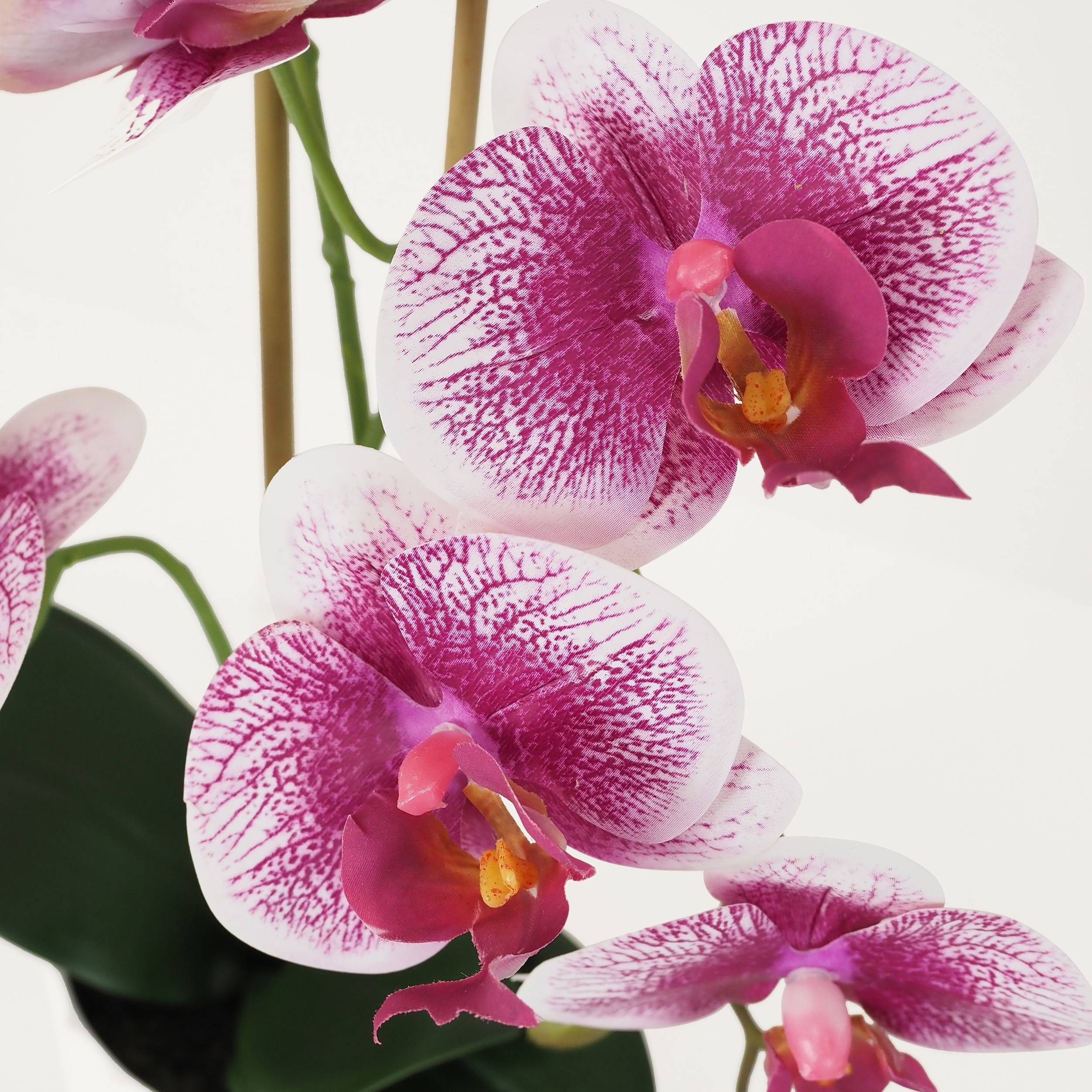 Ligne Deco - Orchidée artificielle blanc-fuchsia 50cm Ligne Déco - Image 3