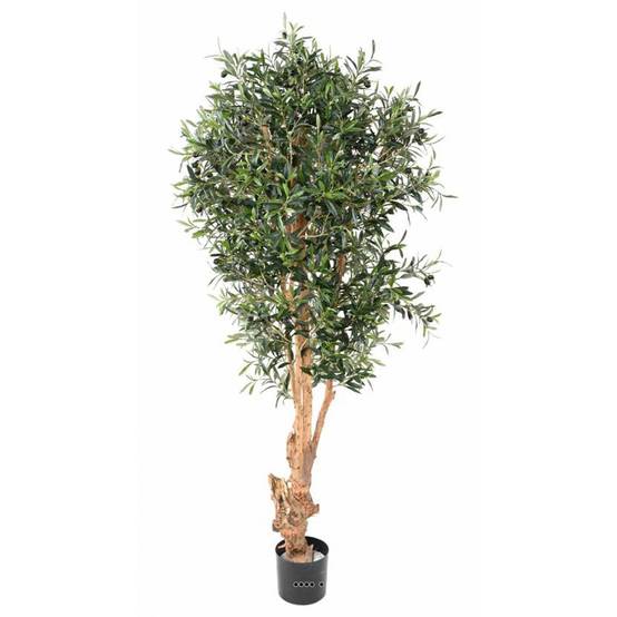 Olivier artificiel avec olives en pot tronc bois noueux H 150 cm Vert D 60 cm