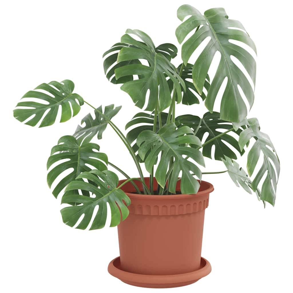 Vidaxl - Pots de plantes 24 pc Rouge brique Plastique vidaXL 3403263 - Image 4