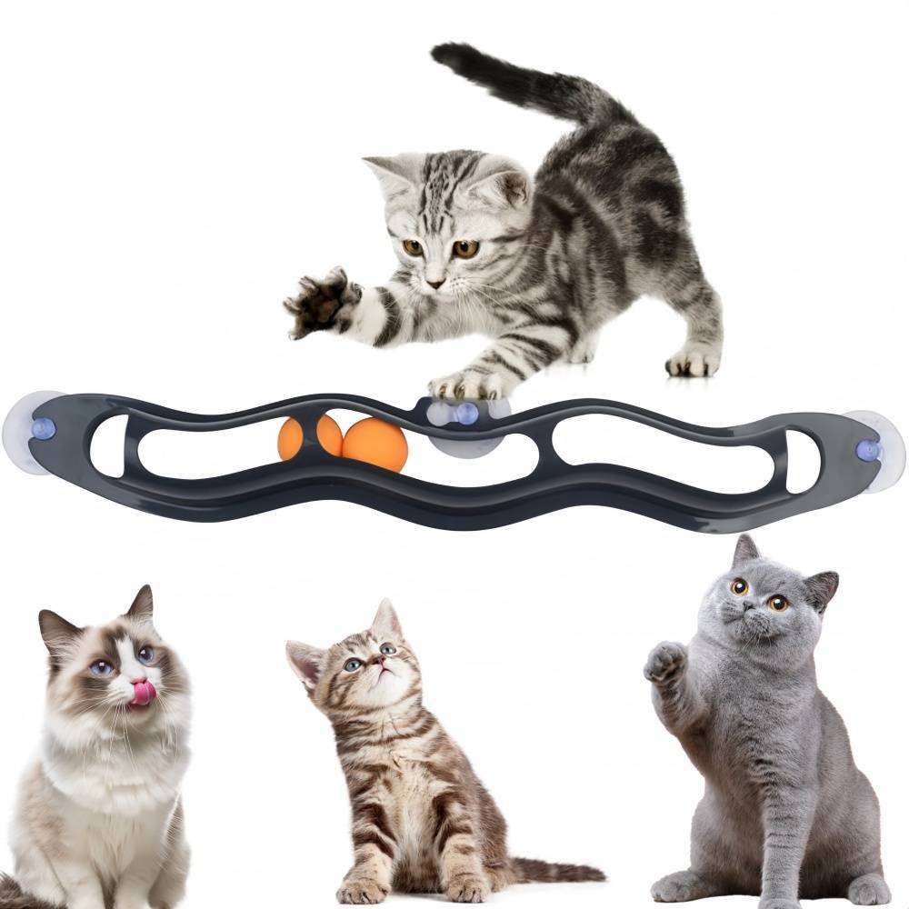 Jouet interactif pour chat-Balle de chasse à ventouse pour chat - Fixation fenêtre/miroir - Stimulation interactive - Living123