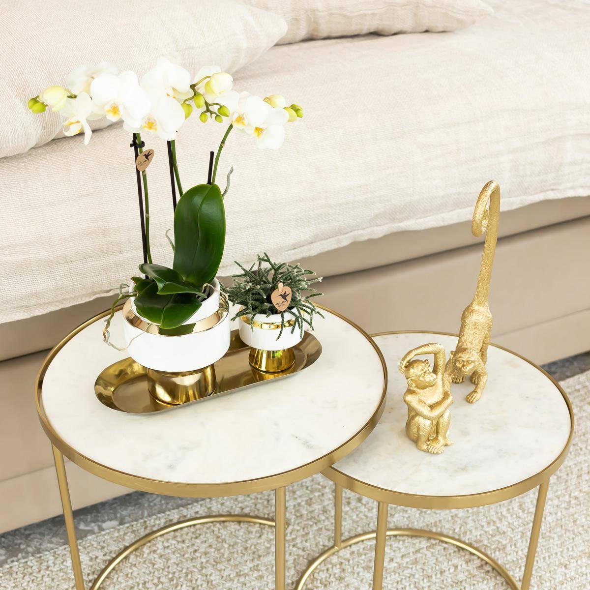 Le Chic - Pot décoratif blanc avec détails dorés- La Green Touch - Image 6