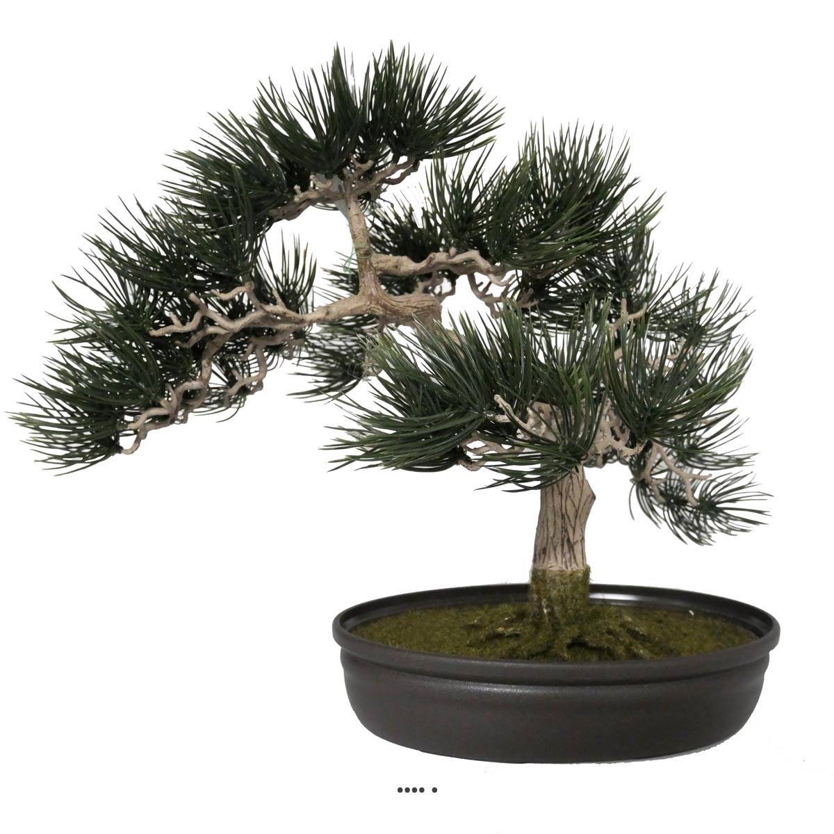 Artificielles - Bonsai artificiel Angel Pinus H 44 cm Finition mousse - Image 2