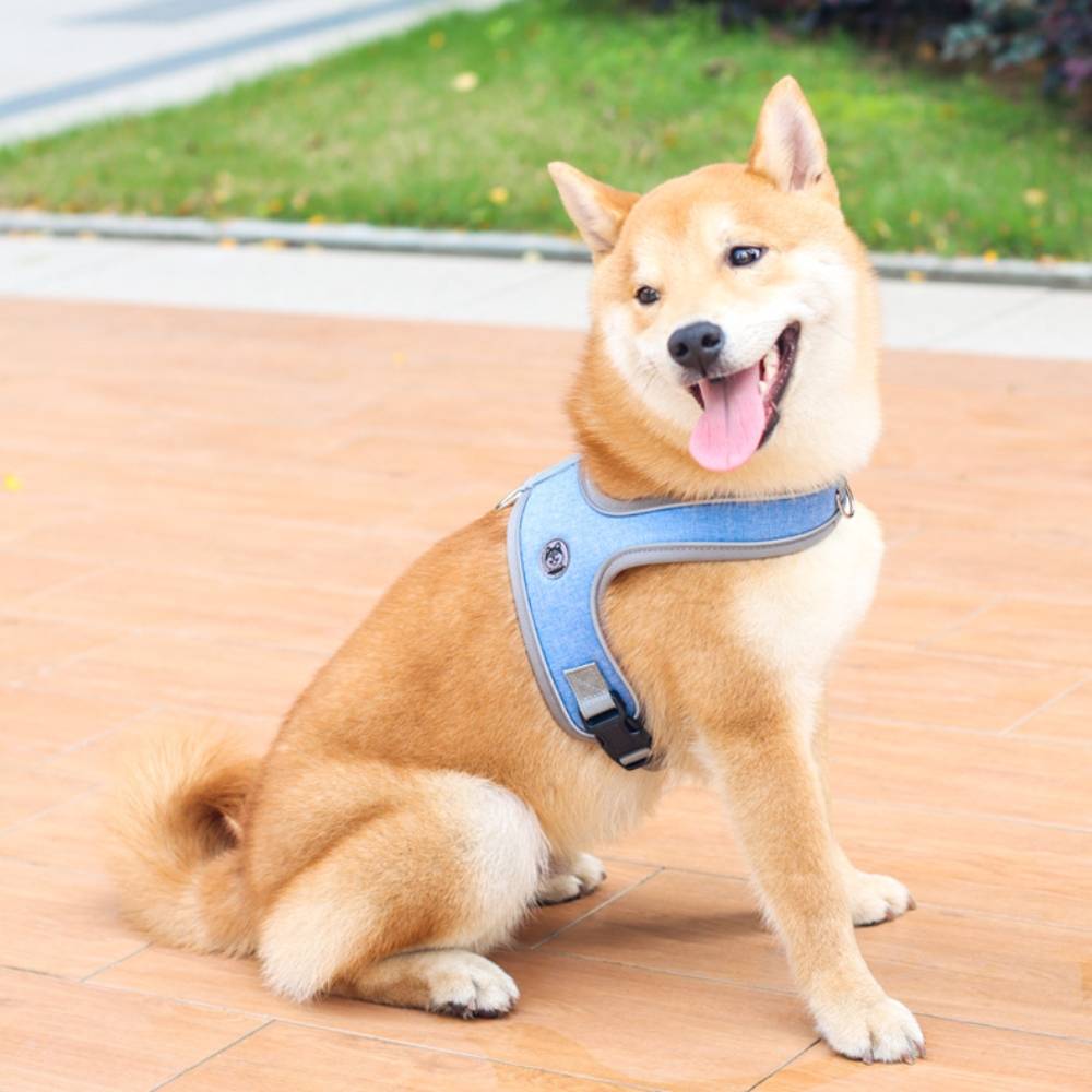 Harnais de selle pour chien sans tension m - IntiMeg - Image 2