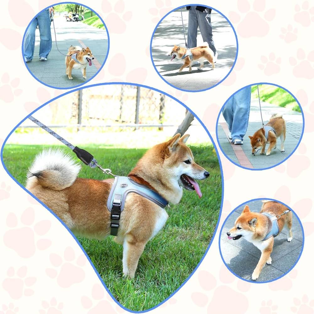 Harnais de selle pour chien sans tension m - IntiMeg - Image 3