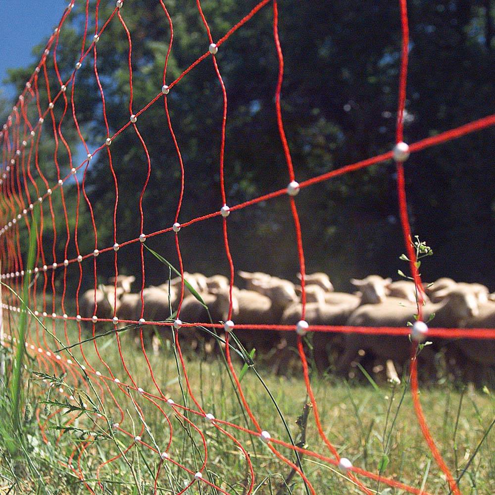 Beaumont - Filet mouton rouge hauteur 0,90 m - 50m, pour mouton BEAUMONT - Image 3