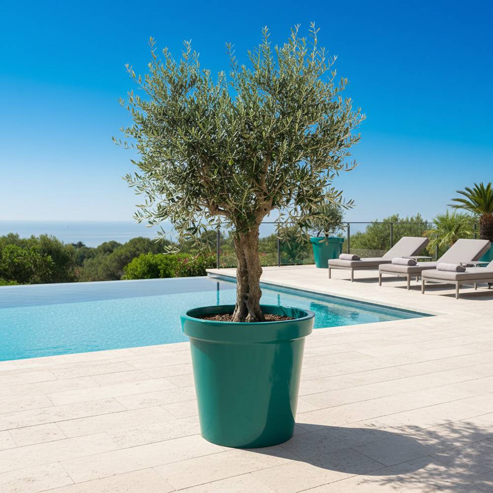 Plast'Up Rotomoulage - Pot de fleurs rond xxl delight 75l- lot de 2 - Image 2