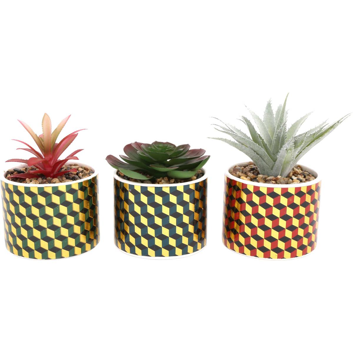 Sil - Plantes succulentes artificielles Cubic (Lot de 3)