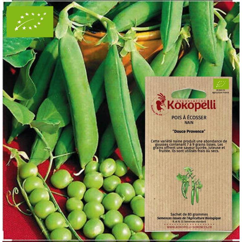 Association Kokopelli - Pois Douce Provence- Graines bio à semer - Image 1