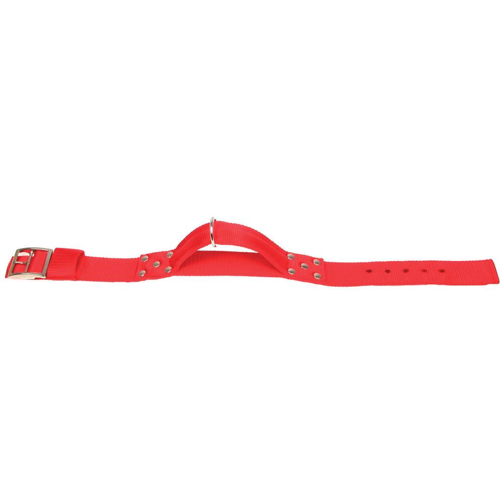Zolux - Collier avec poignée T 70 cm. rouge pour chien. - Image 2