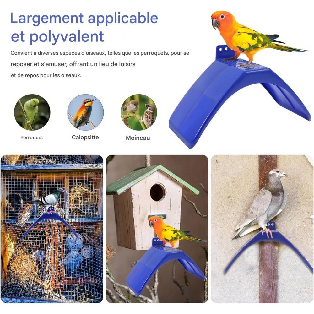 DtopbuyAge - Lot de 20 supports pour pigeons DtopbuyAge - Image 4