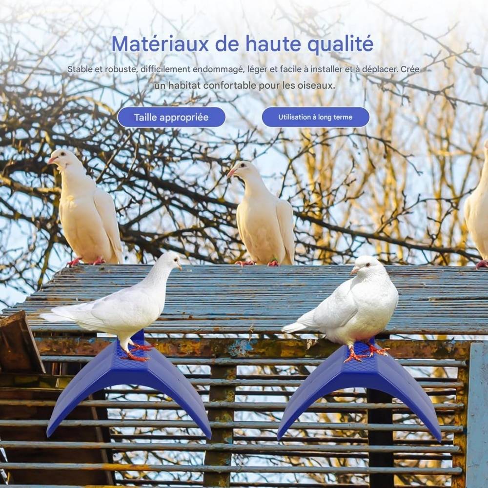 DtopbuyAge - Lot de 20 supports pour pigeons DtopbuyAge - Image 3