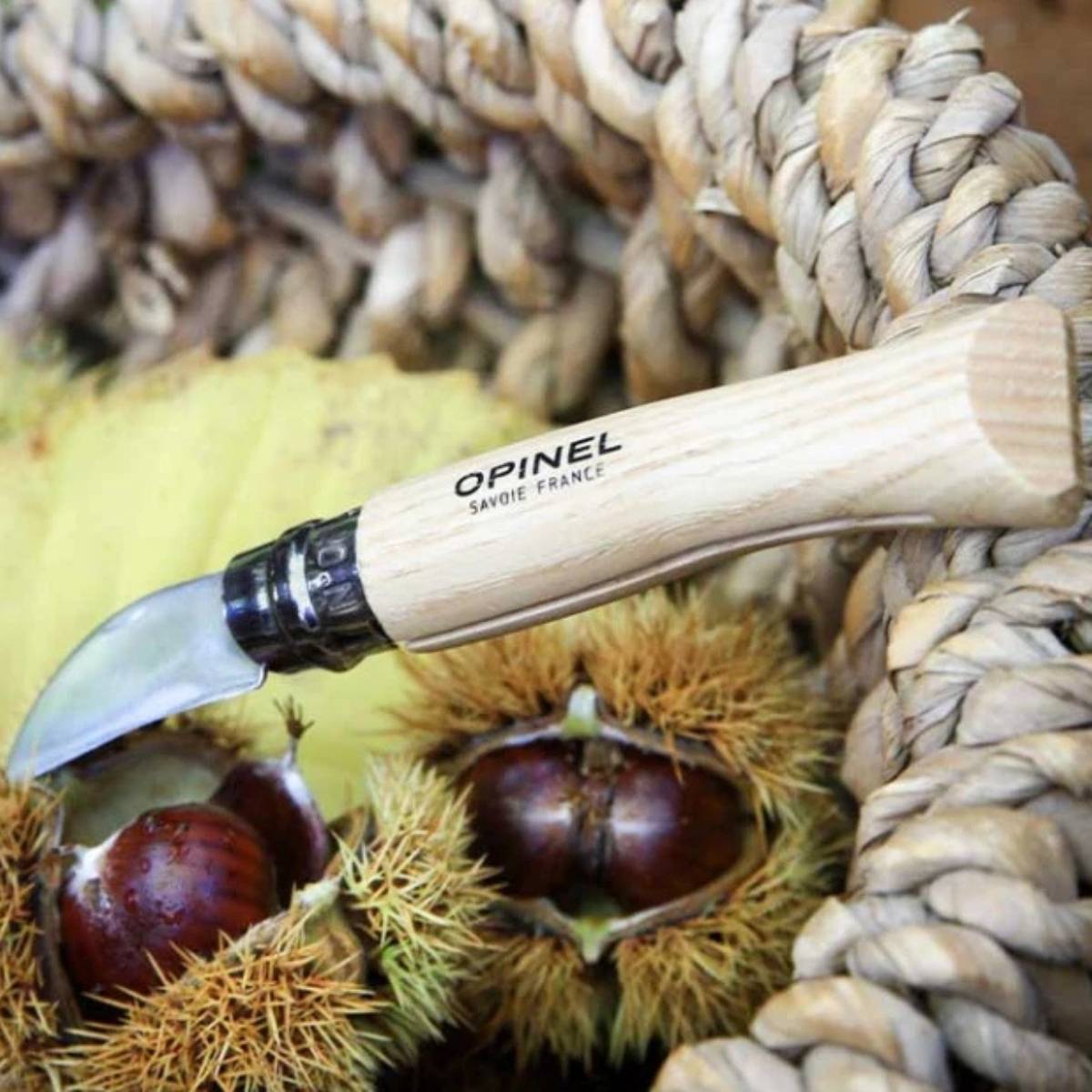 0 - Couteau à Châtaignes N°07 - Opinel - Opinel - Image 4