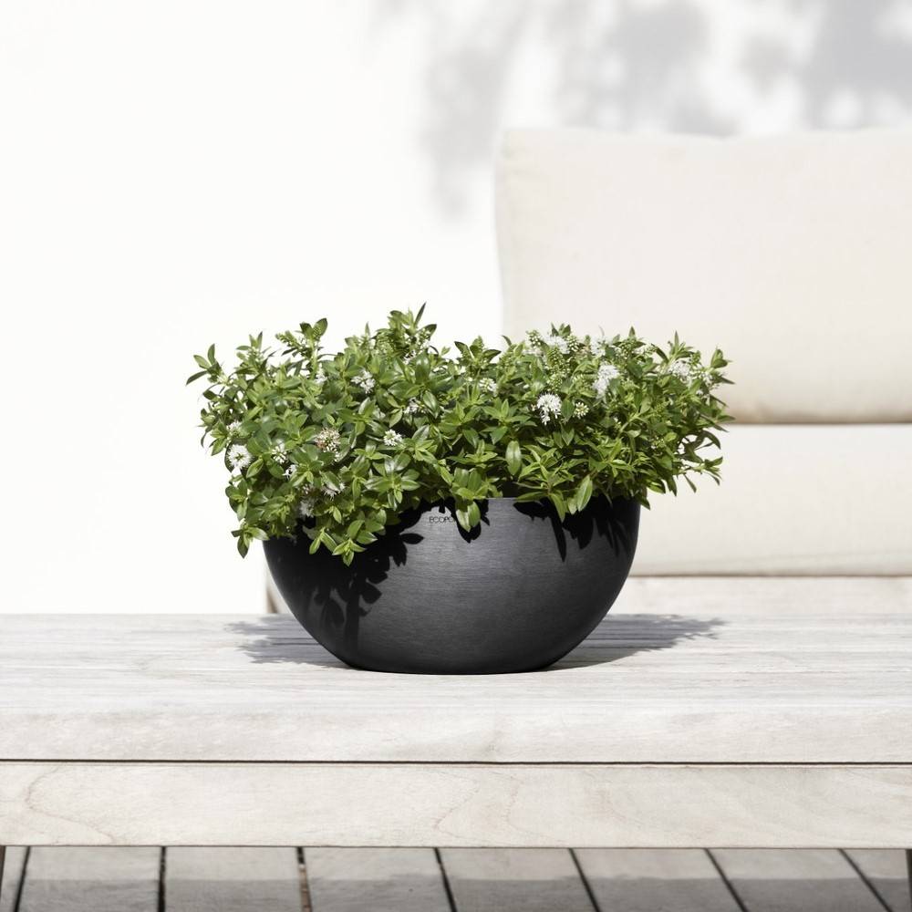 Ecopots - Pot Rond Brussels 30 Gris Foncé - Ø 30 x H. 14 cm - 6,5 L ECOPOTS - Image 5