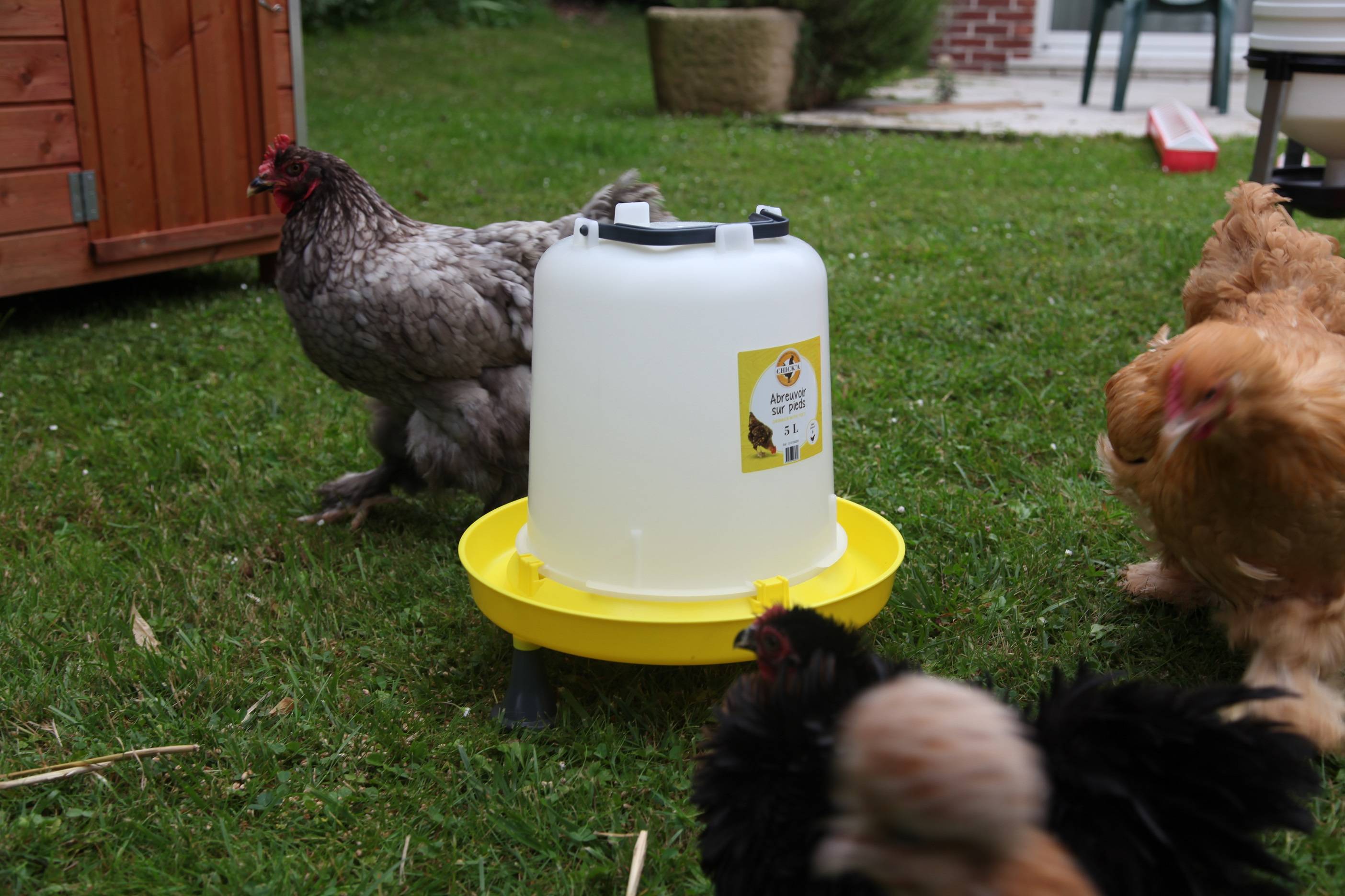 Chick'a - Abreuvoir sur pied 5L CHICK'A - Image 3