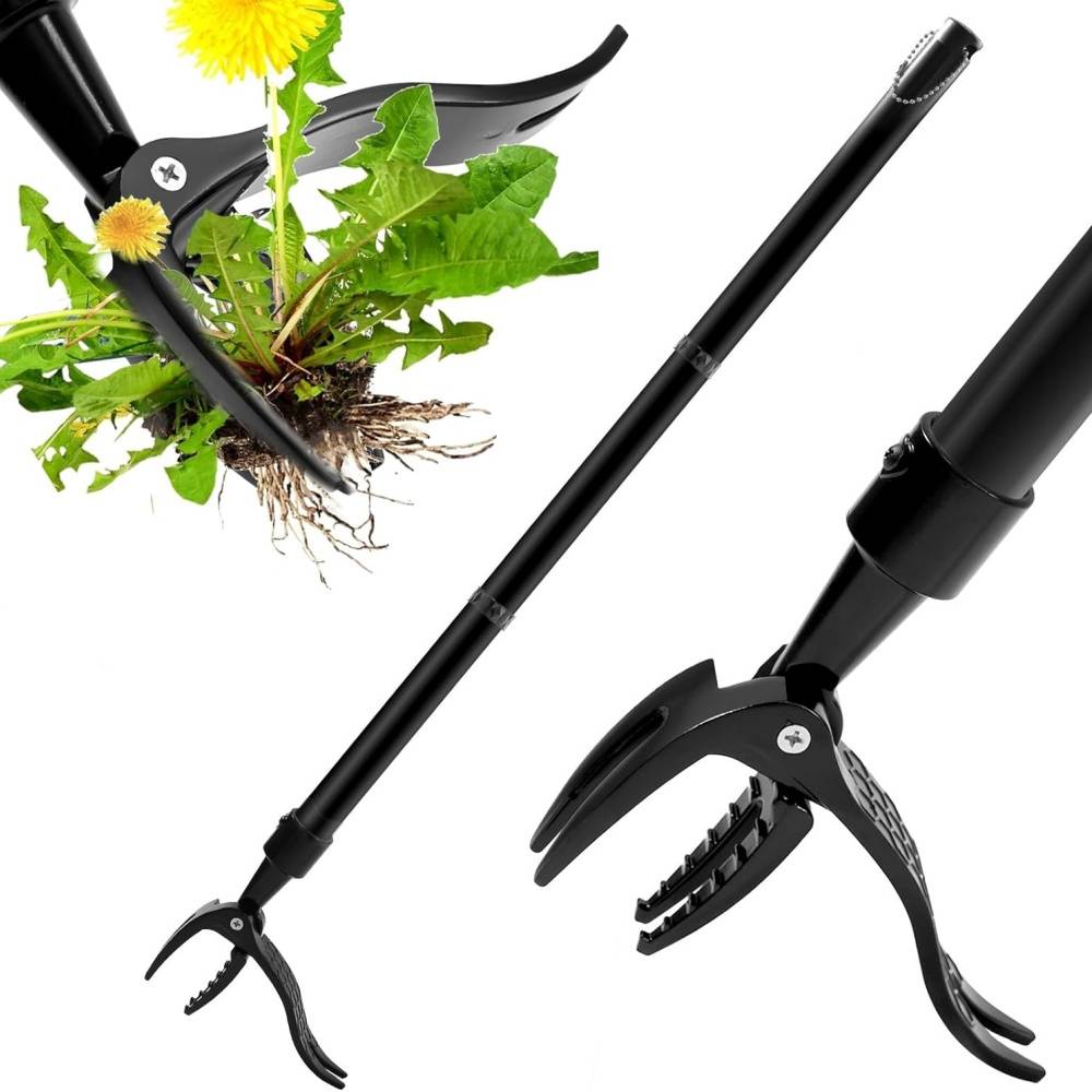 Arrache-mauvaises herbes debout - Poignée longue réglable - 4 griffes acier - Pédale pied - Détachable DtopbuyAge - Image 1