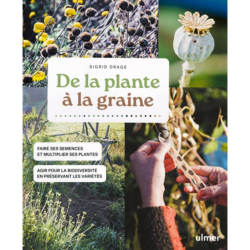 Promesse de Fleurs - De la plante à la graine